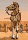 Brumby Girl's Profile Image