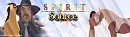 SPirit Source Fan Banner