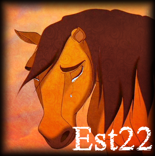 Mon avatar Spirit