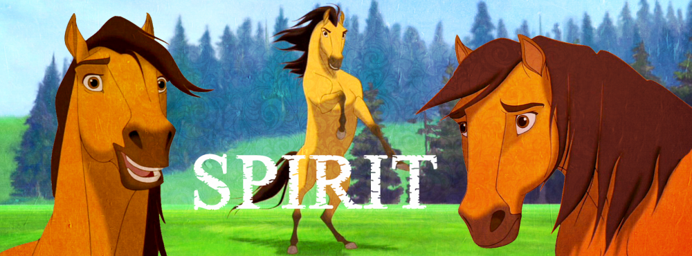 Ma signature Spirit