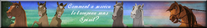 Fake banner concours