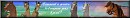 Fake banner concours