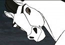 Render #3 Stallion Head