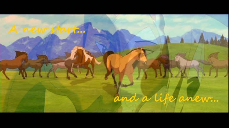 life anew