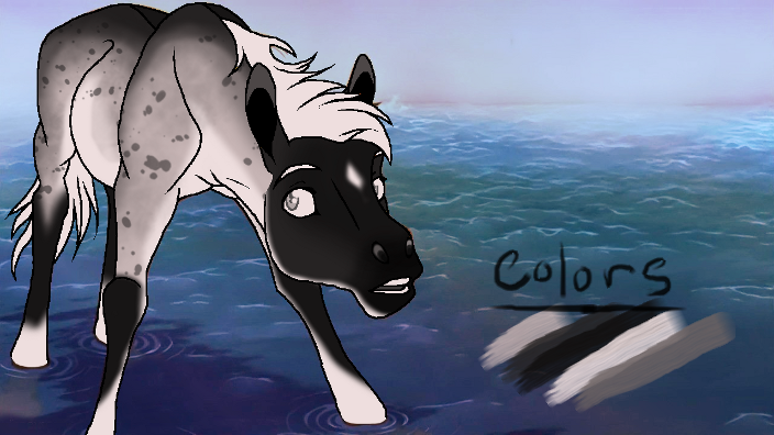 Adoptable : Nine Eleven X Americana 1