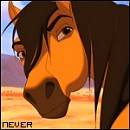 Never...