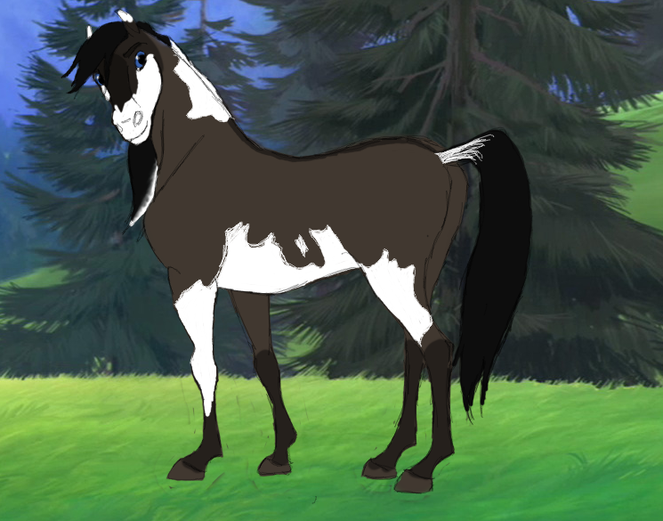 Design Request: Buckskin Lover