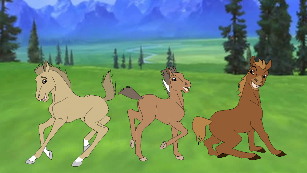 Some foals