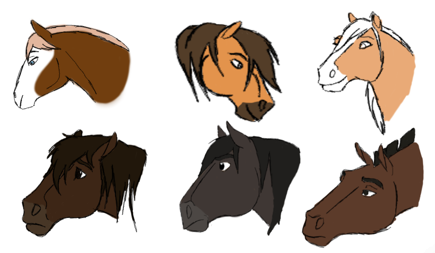 Head Shape Comparison