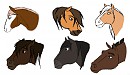 Head Shape Comparison
