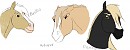 Head Shape Definition