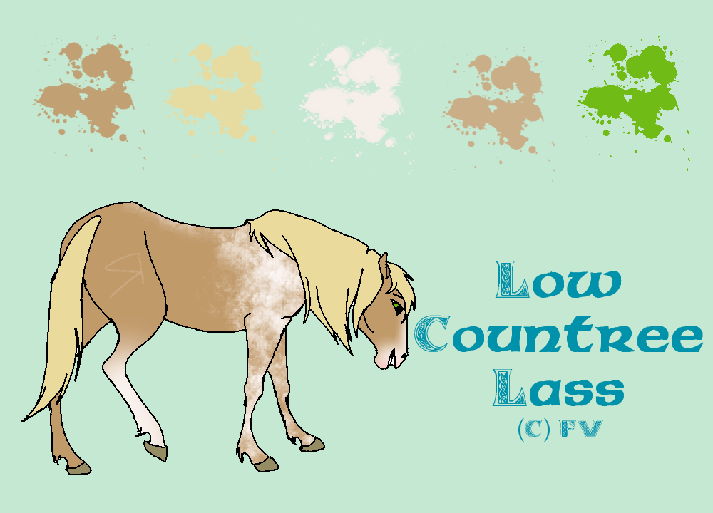 Low Countree Lass detail shot