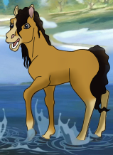 Avalon as a foal