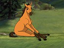 A confused spirit
