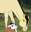 Starlina's only filly!