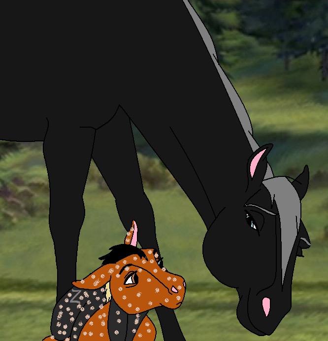 Zorro and Zorra!