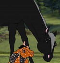 Zorro and Zorra!