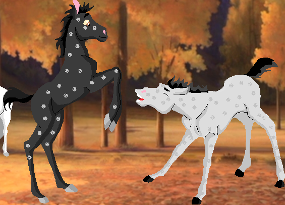 True Blue and Lance's new fillies but need names!