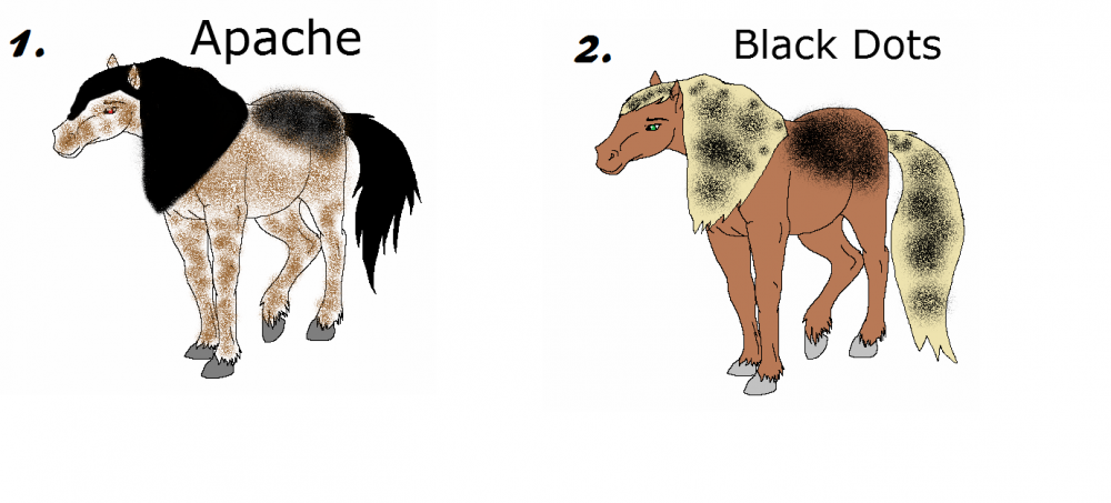 Adoptable mares! *CLOSED*