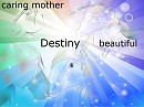 Destiny collage