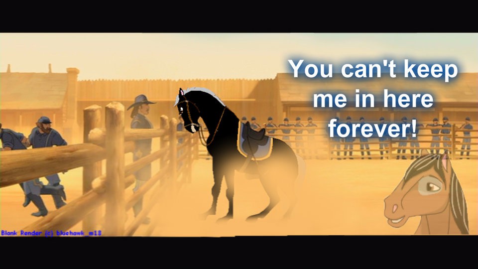 Zorro angry?!