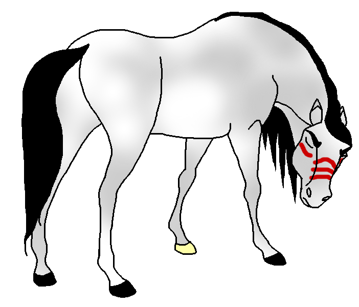 Sayen as a stallion