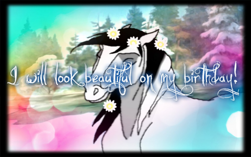 My birthday image of Patch