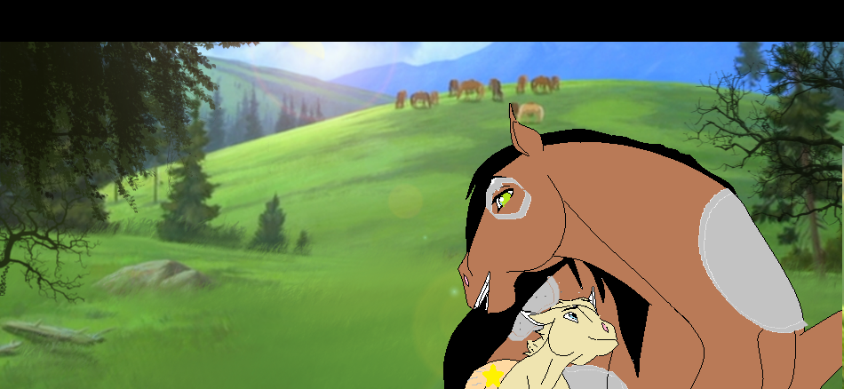 Racoon and Comet