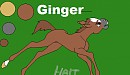 Ginger as a filly again