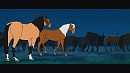 A night with the herd