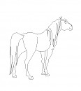 Spirit Lineart