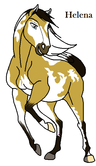 My equinosona