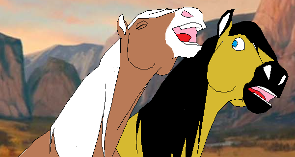 SPIRIT!!!!!!!!!!!!!!!!!!!!!!!!!!