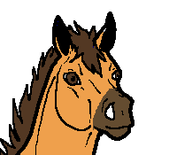 Spirit colt