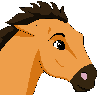 Spirit colt