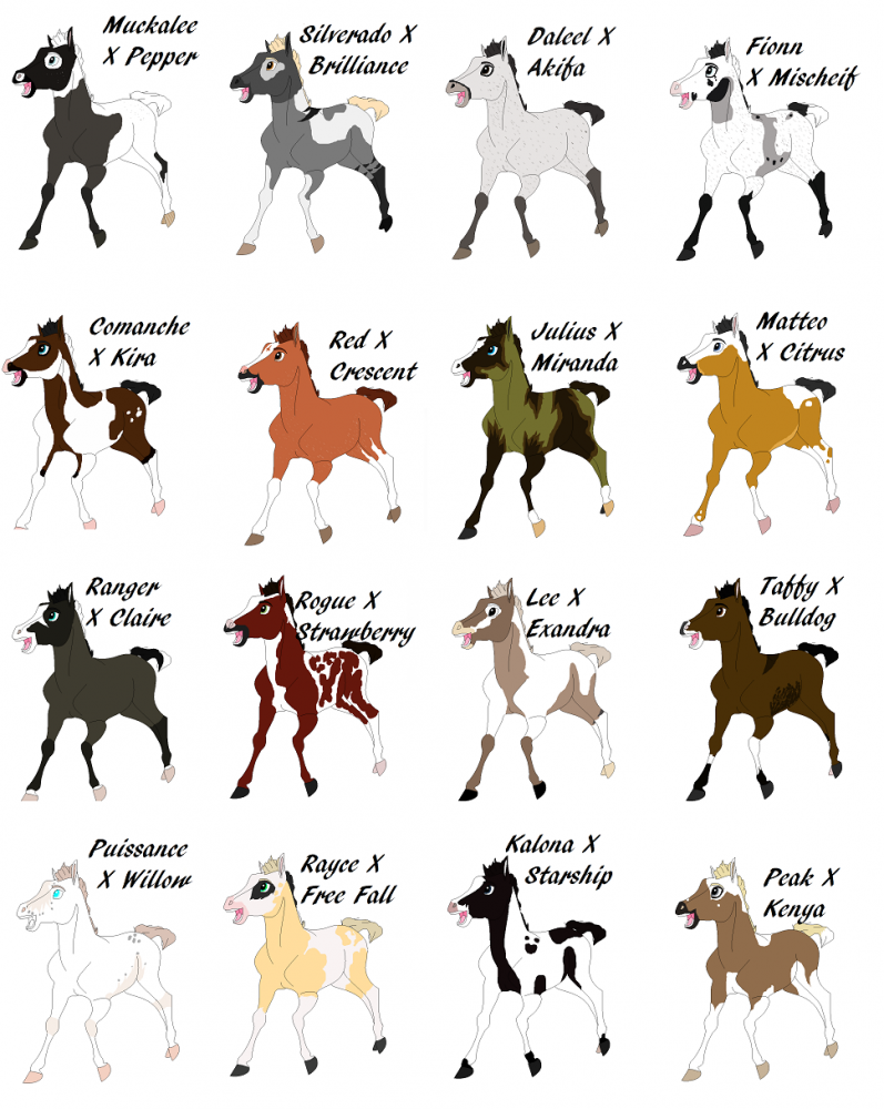 Fan Foals Part 6!!