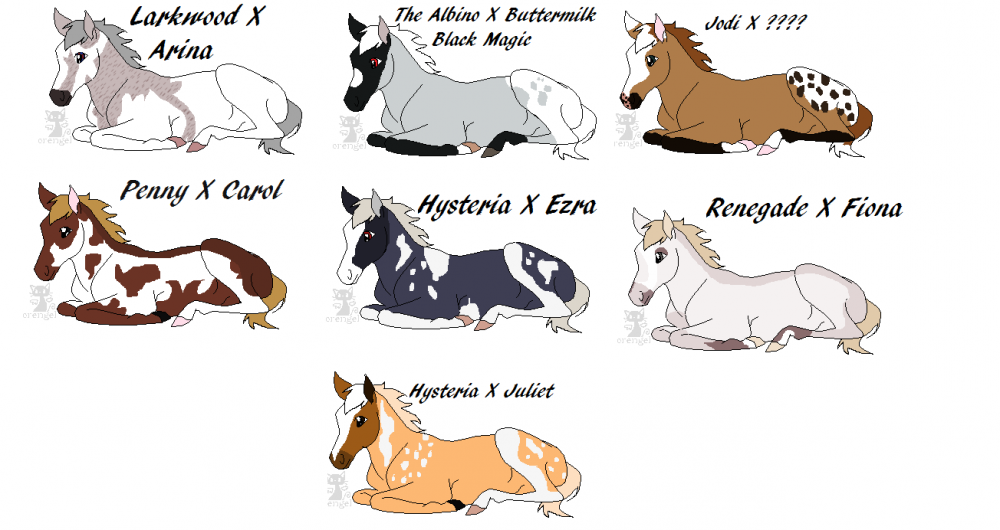 Fan Foals Part 7