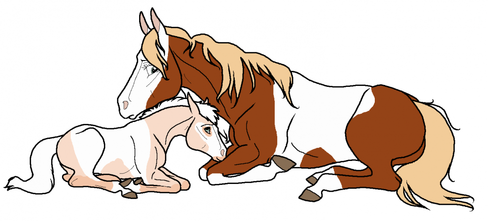 Rain and upcoming colt