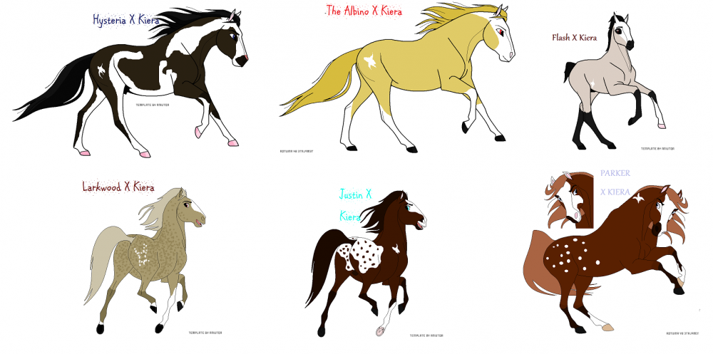 Adoptables- Kiera Foals