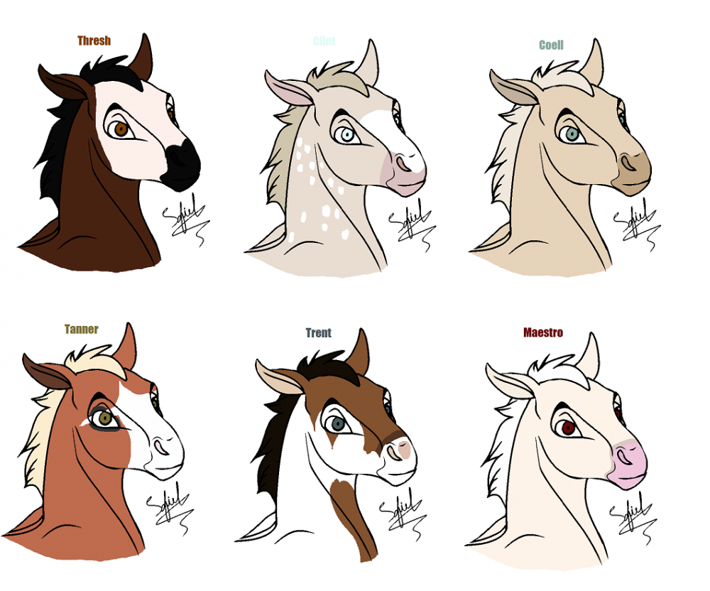 The Colts