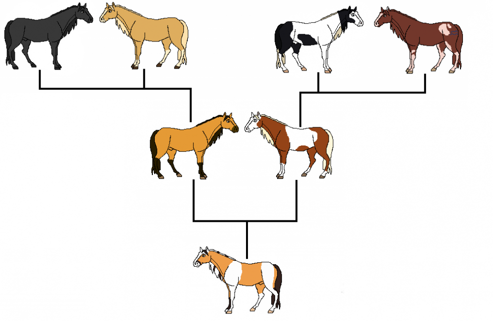 Cinder's Family Tree