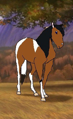 Claire- adoptable