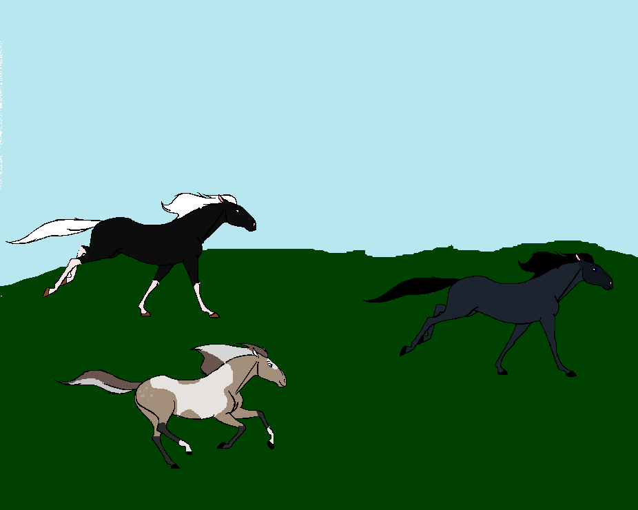 Friendly Race