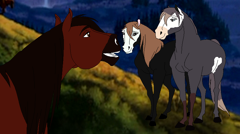 Two mares and their leader