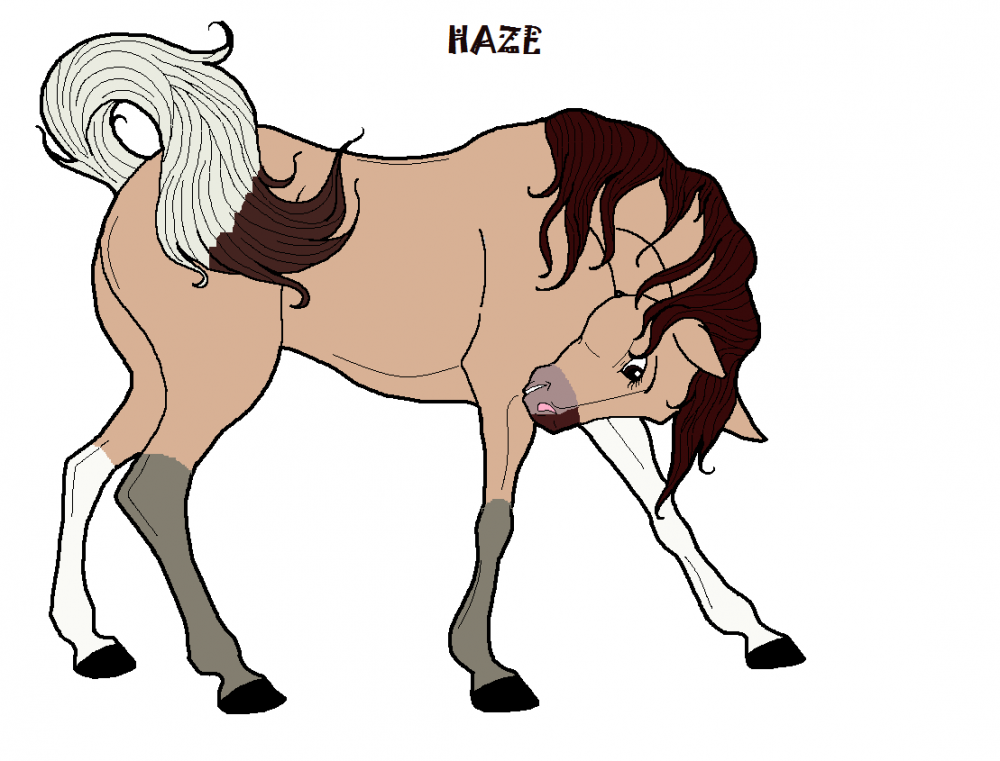 Haze Reffy