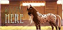 Welcome here