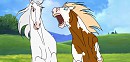 Stallion fight