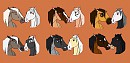 Couple sheet 1