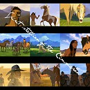 Spirit Collage