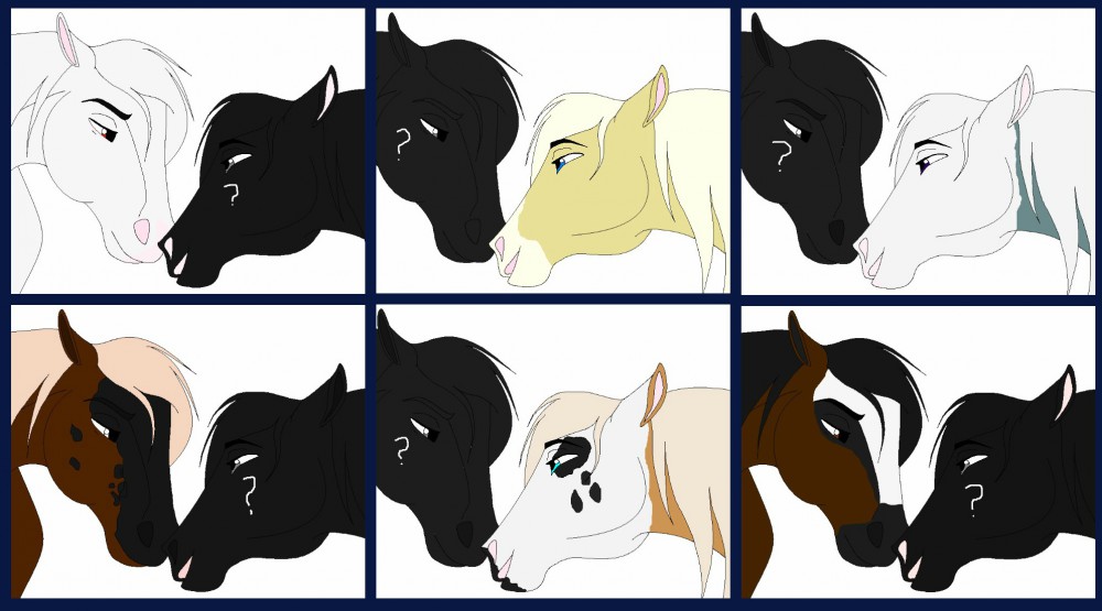 My horses need mates!